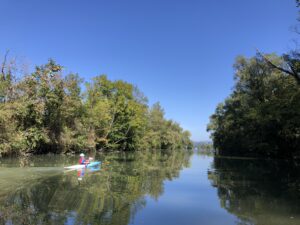 CLBCK Chambéry Le Bourget du Lac Kayak Location Paddle Dragon boat Fitness